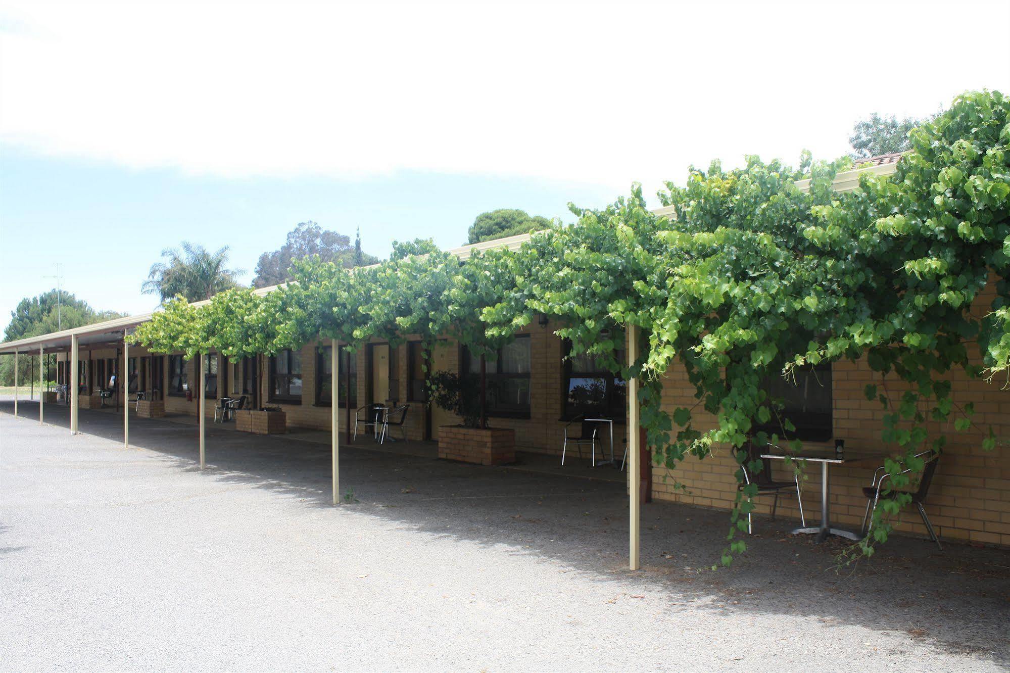 Angaston Vineyards Motel Exterior foto