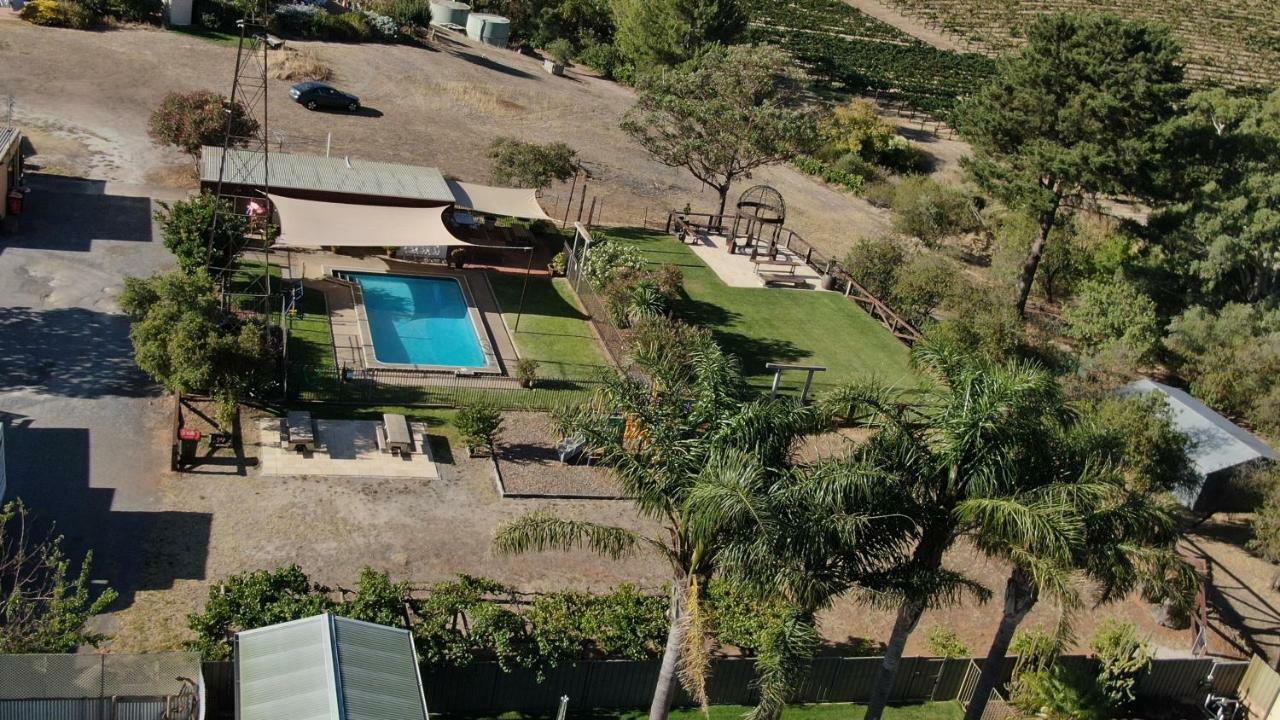 Angaston Vineyards Motel Exterior foto